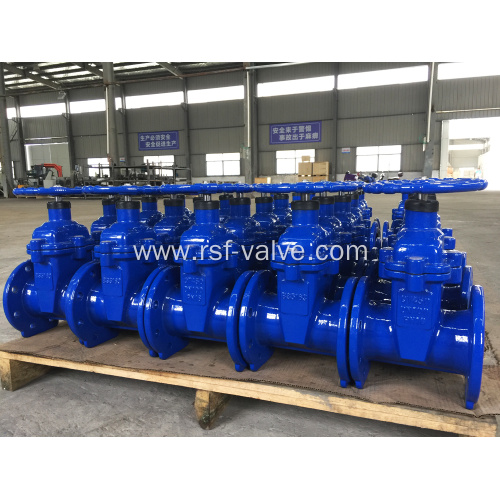 Ductile Iron BS5163 Resilient Seat Gate Valve
